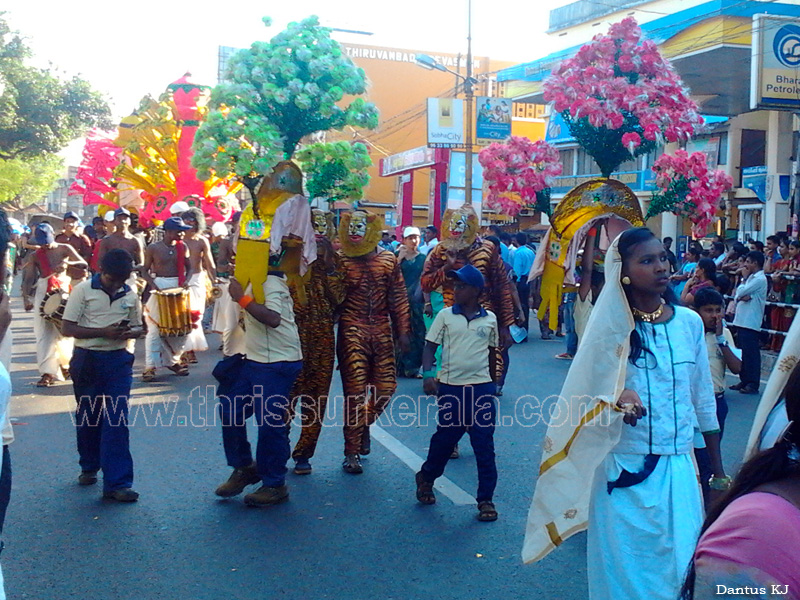 school-kalolsavam (71)